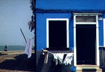 Farbe als Lebenselexier 02