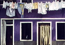 Farbe als Lebenselexier 04