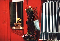 Farbe als Lebenselexier 06