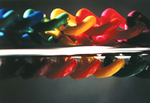 Farbe als Lebenselexier 07