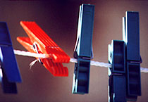 Farbe als Lebenselexier 09