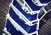 Farbe als Lebenselexier 11